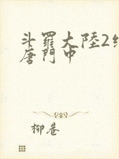 斗罗大陆2绝世唐门中
