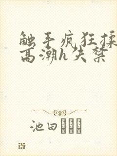 触手疯狂揉肉蒂高潮h失禁