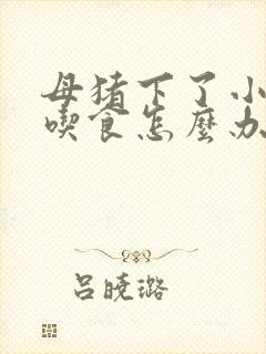 母猪下了小猪不吃食怎么办