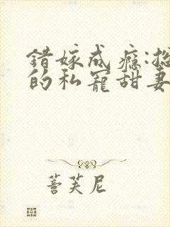 错嫁成瘾:总裁的私宠甜妻