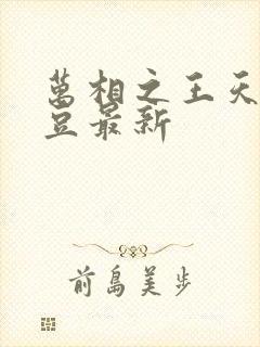 万相之王天蚕土豆最新