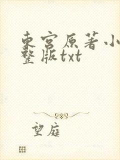 东宫原著小说完整版txt