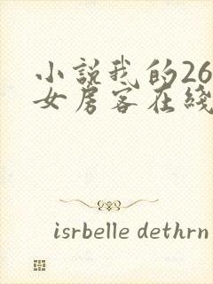 小说我的26岁女房客在线阅读
