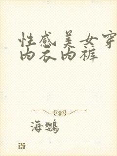 性感美女穿性感内衣内裤