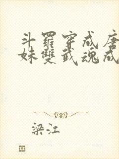 斗罗穿成唐三亲妹双武魂成神了免费阅读