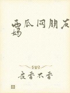 西瓜网朋友的妈妈