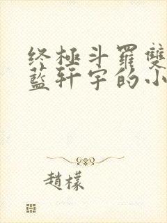 终极斗罗双男主蓝轩宇的小说