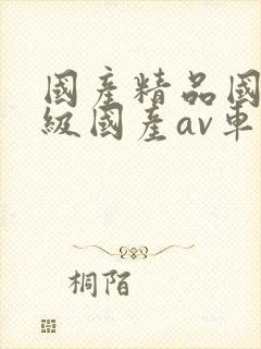 国产精品国产三级国产av车上的