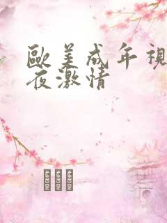 欧美成年视频午夜激情