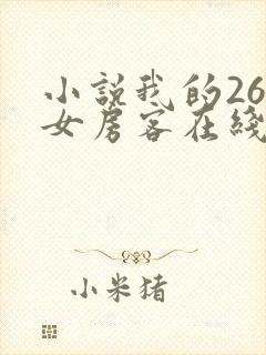 小说我的26岁女房客在线阅读全文