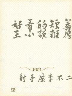 好看的短篇双男主小说推荐完结