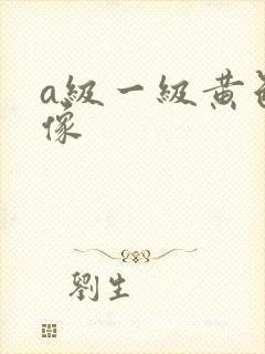 a级一级黄色录像