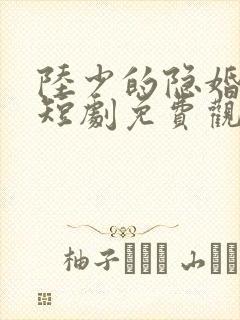 陆少的隐婚罪妻短剧免费观看