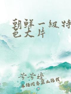 朝鲜一级特黄特色大片