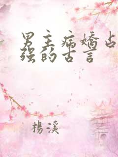 男主病娇占有欲强的古言