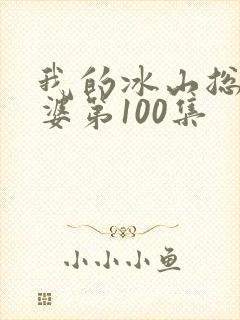 我的冰山总裁老婆第100集