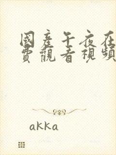 国产午夜在线免费观看视频