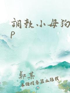 调教小母狗hnp