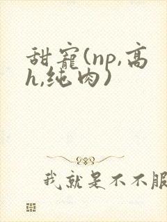 甜宠(np,高h,纯肉)