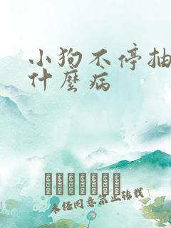 小狗不停抽搐是什么病