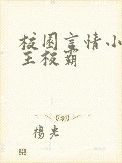 校园言情小说男主校霸