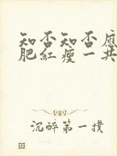 知否知否应是绿肥红瘦一共多少集