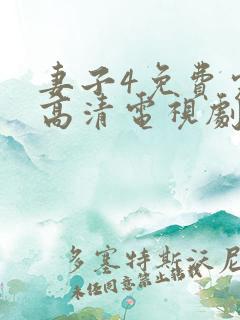 妻子4免费完整高清电视剧在线看