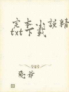 完本小说精校版txt下载