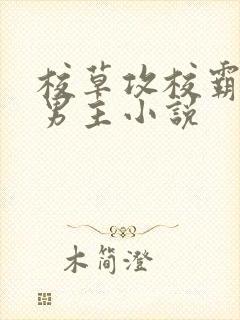 校草攻校霸受双男主小说