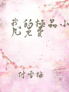 我的极品小姨叶凡免费