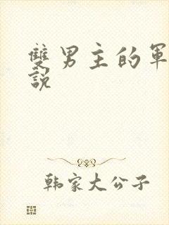 双男主的军旅小说