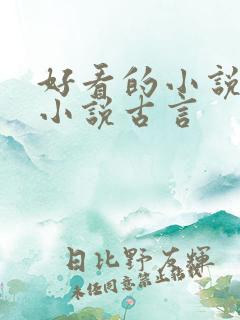 好看的小说言情小说古言