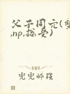 父子同穴(双性,np,总受)