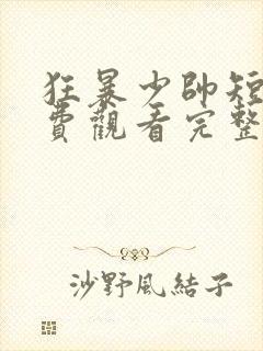 狂暴少帅短剧免费观看完整版高清