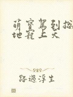 萌宝驾到总裁爹地宠上天