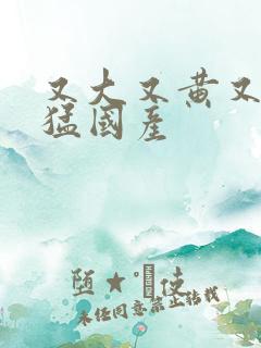 又大又黄又粗又猛国产