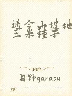 适合山坡地抗旱玉米种子