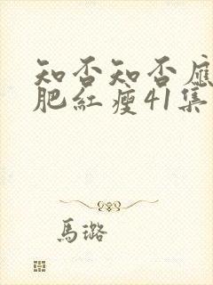 知否知否应是绿肥红瘦41集