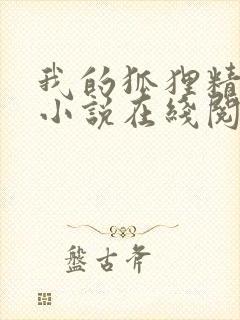 我的狐狸精后妈小说在线阅读