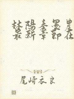 林阳秦墨农小说最新章节在线阅读