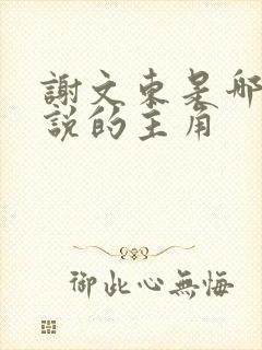 谢文东是哪部小说的主角