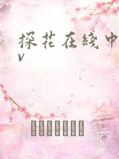 探花在线中字av