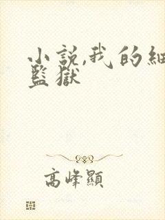 小说,我的细胞监狱