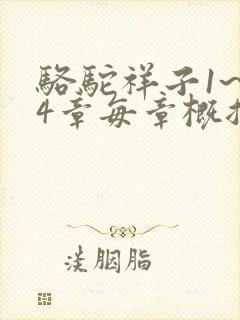 骆驼祥子1~24章每章概括