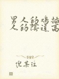 男人的鸡插入女人的阴道高清视频