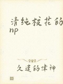 清纯校花的日常np