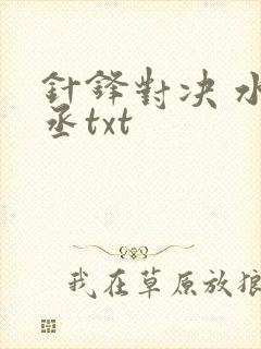 针锋对决 水千丞txt