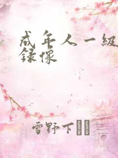 成年人一级黄色录像