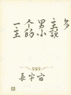 一个男主多个女主的小说