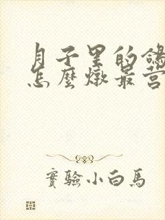 月子里的鸽子汤怎么炖最营养